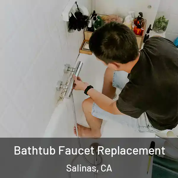  Bathtub Faucet Replacement Salinas, CA