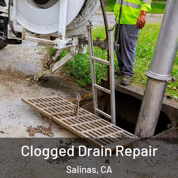  Clogged Drain Repair Salinas, CA