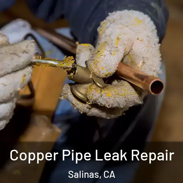 Copper Pipe Leak Repair Salinas, CA