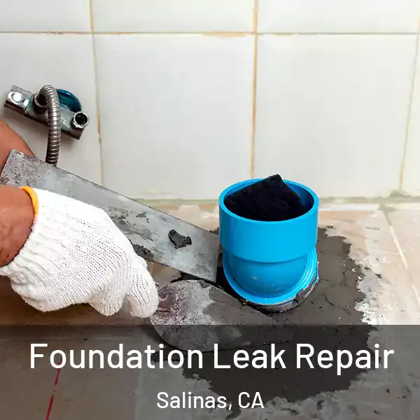 Foundation Leak Repair Salinas, CA