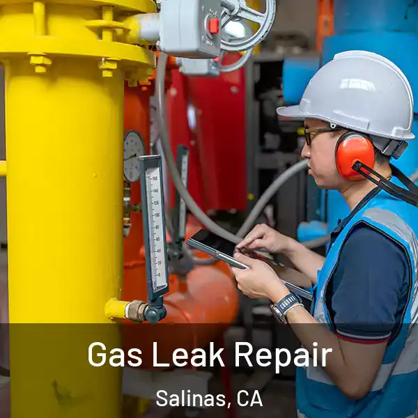  Gas Leak Repair Salinas, CA
