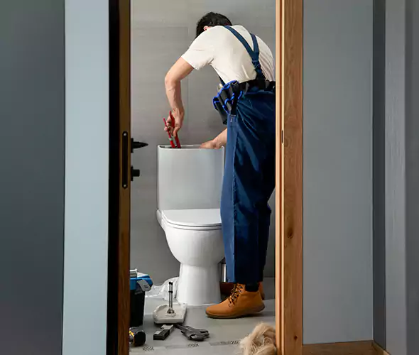 Professional Plumbers for Toilet Bowl Replacement in Salinas, CA: Schedule Affordable Toilet Replacement Services With Us