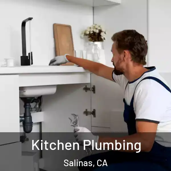 Kitchen Plumbing Salinas, CA