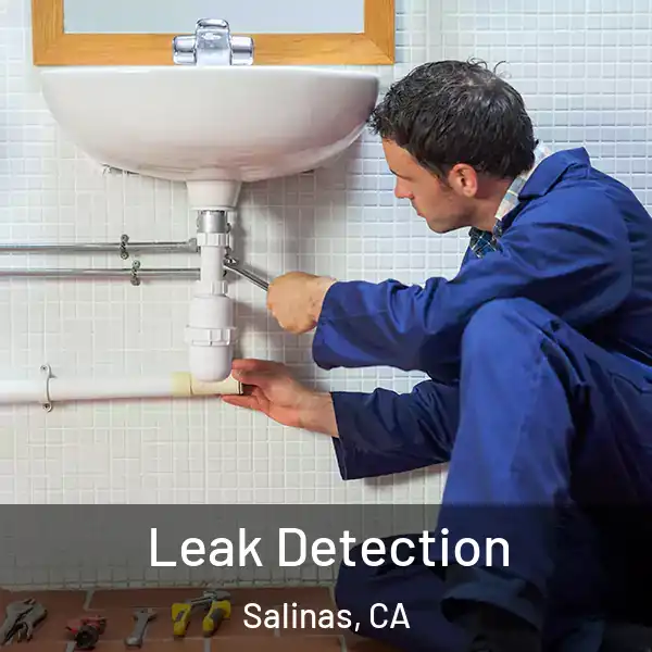  Leak Detection Salinas, CA