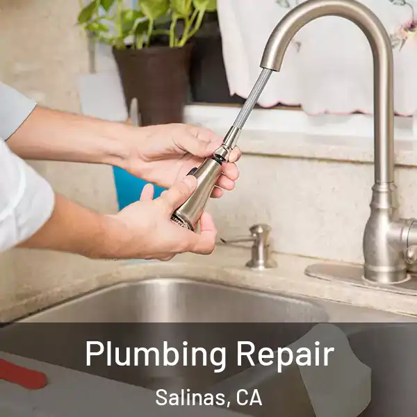 Plumbing Repair Salinas, CA