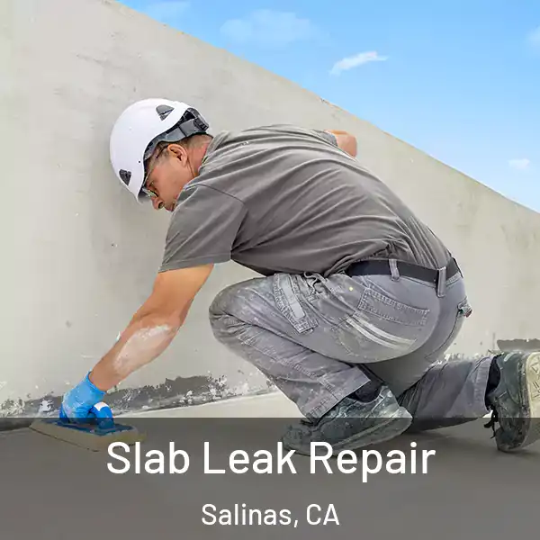  Slab Leak Repair Salinas, CA