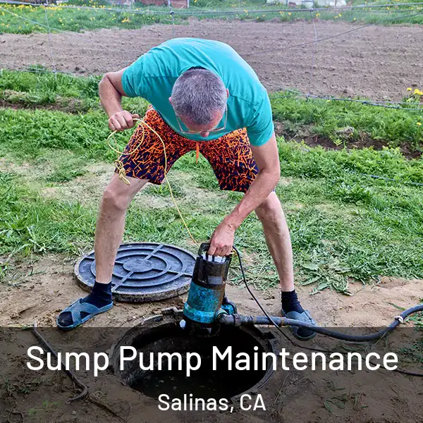  Sump Pump Maintenance Salinas, CA