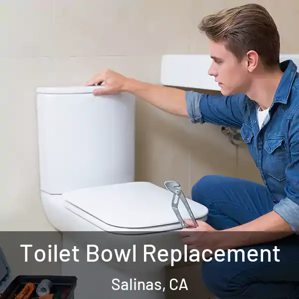  Toilet Bowl Replacement Salinas, CA