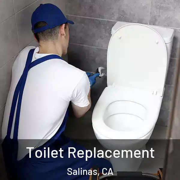  Toilet Replacement Salinas, CA