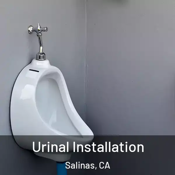  Urinal Installation Salinas, CA