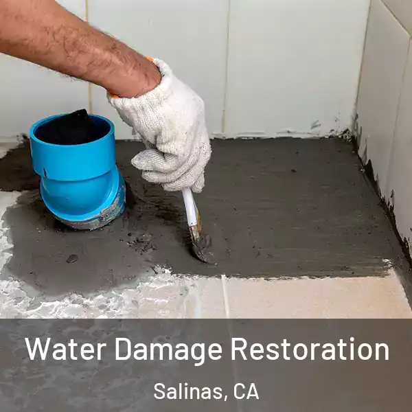  Water Damage Restoration Salinas, CA