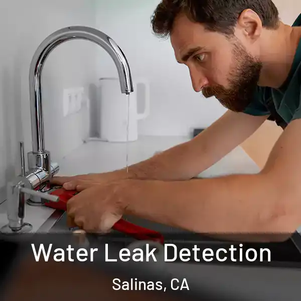  Water Leak Detection Salinas, CA