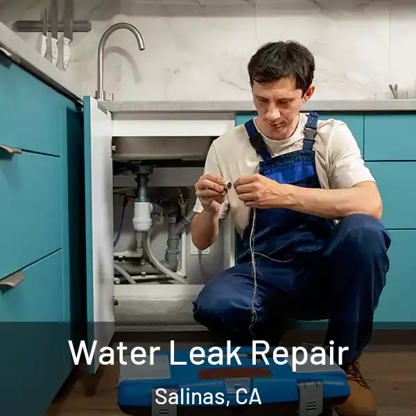  Water Leak Repair Salinas, CA