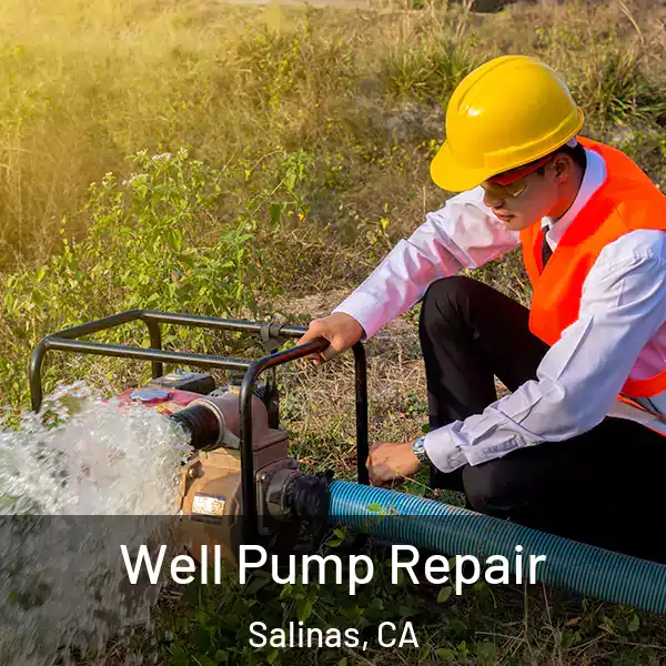  Well Pump Repair Salinas, CA