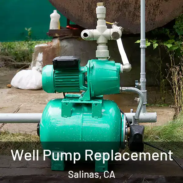  Well Pump Replacement Salinas, CA